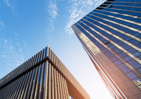 耐寒耐旱草花基地、海宁耐寒耐旱草花基地、耐寒耐旱草花基地、五一国庆草花批发、花海景观工程、五一国庆草花批发、宿根花卉基地 、观赏草/蒲苇狼尾草。